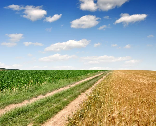 Viagem de campo — Fotografia de Stock