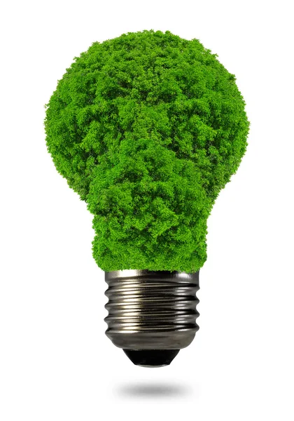 生态能源灯泡 — 图库照片