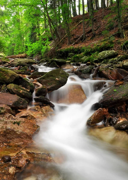 Bergkreek — Stockfoto