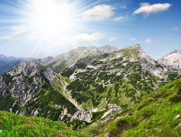 Triglav Nationaalpark — Stockfoto