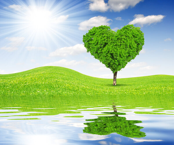 tree in the shape of heart