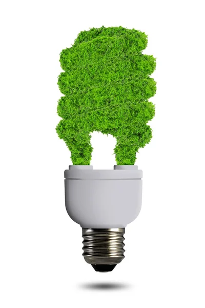 Lâmpada de energia ecológica — Fotografia de Stock