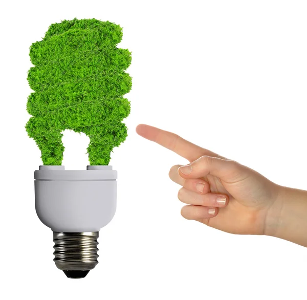 Lampadina eco-energetica — Foto Stock