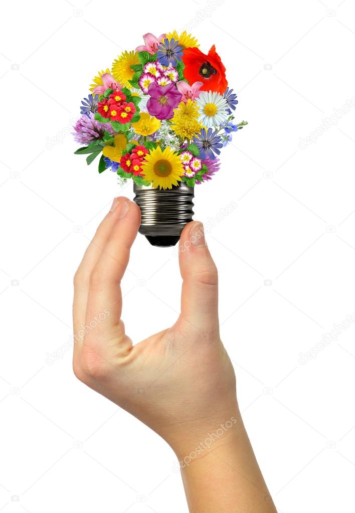 bulb flowers