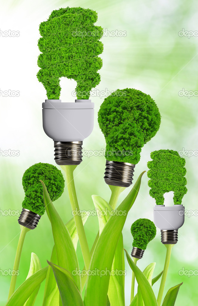 eco energy bulb