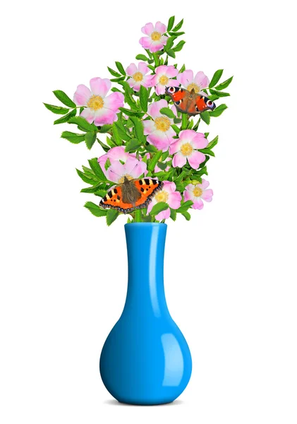 Dog rose with butterflies in the blue vase — Stock Photo, Image