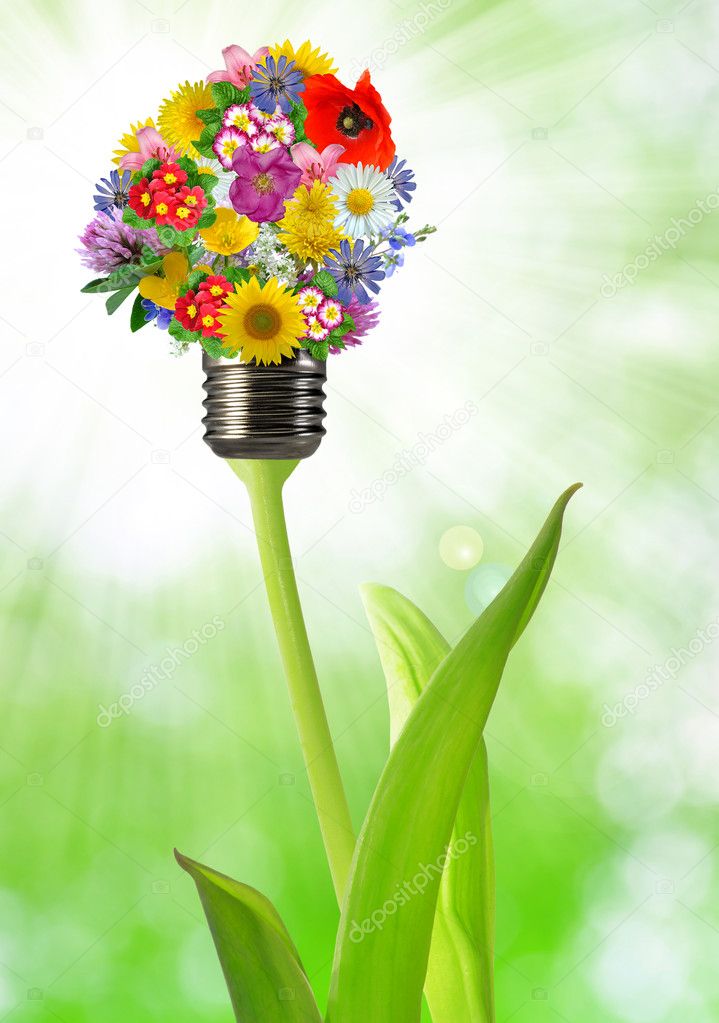 bulb from flowers