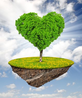 küçük ada ve ağacın şekli kalp