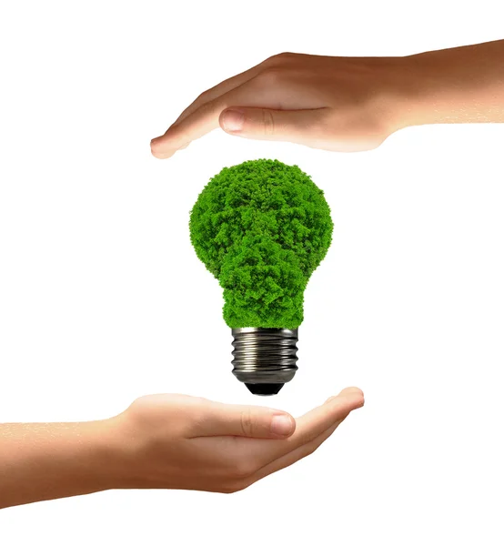 Eco lampadina di energia nelle mani — Foto Stock