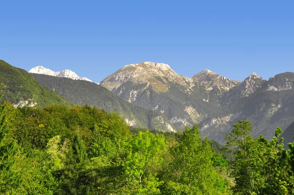 Julian Alps, Slovenien - Stock-foto