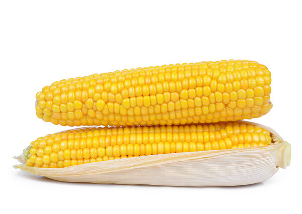 Кукуруза близко.
