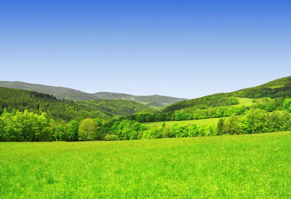 Paesaggio di primavera — Foto Stock