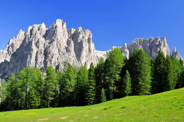 Picos de dolomite, Rosengarten — Fotografia de Stock