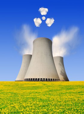 Nükleer enerji santrali