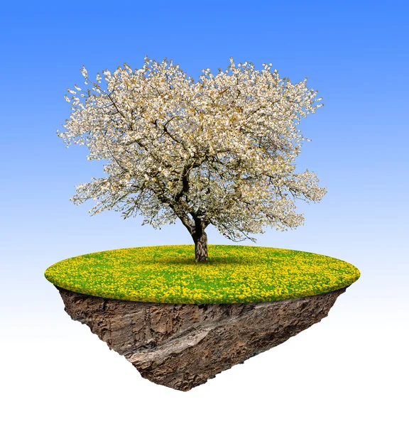 Kleine eiland en boom — Stockfoto