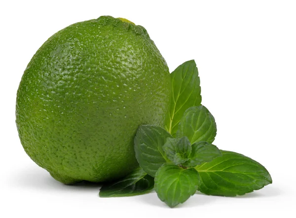 Limes met munt verlaat — Stockfoto