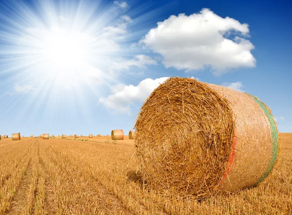 Straw bales — Stock Photo, Image