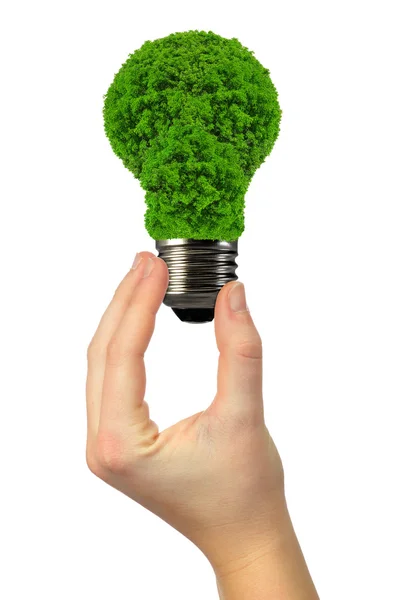 Bombilla de energía ecológica en la mano — Foto de Stock