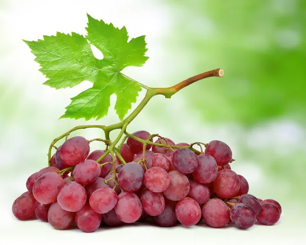Druiven met blad — Stockfoto