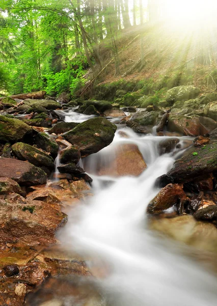 Bergkreek — Stockfoto