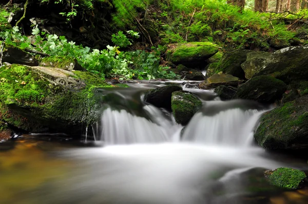 Wasserfall — Stockfoto