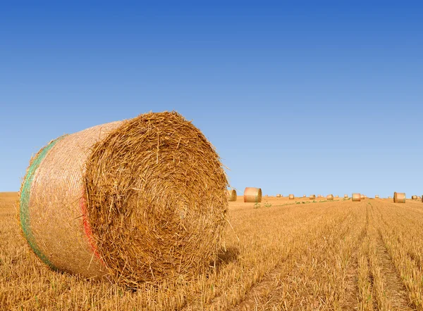 Straw bales — Stock Photo, Image