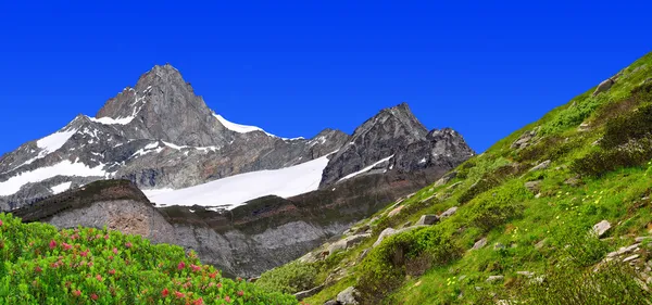 Krásné horské zinalrothorn — Stock fotografie