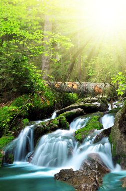 milli park sumava şelale