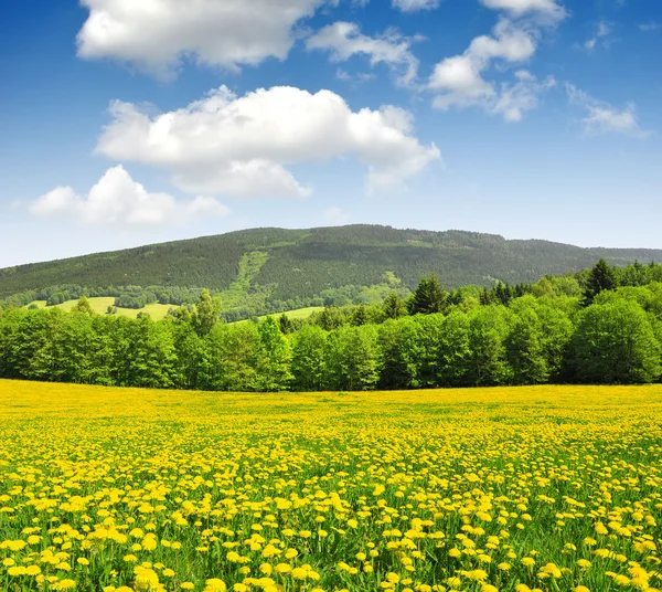 Lente landschap — Stockfoto