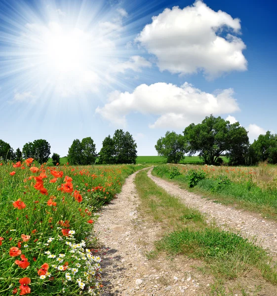 Camino de campo — Foto de Stock