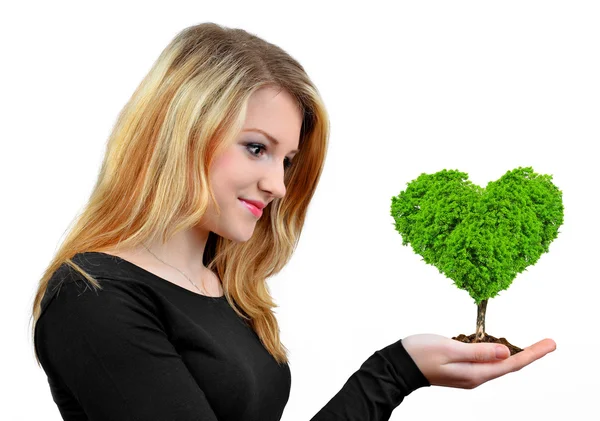 Girl holding in hand tree — Stock Photo, Image