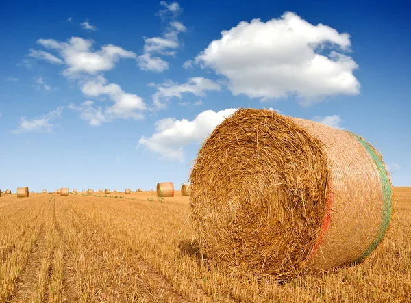 Straw bales — Stock Photo, Image