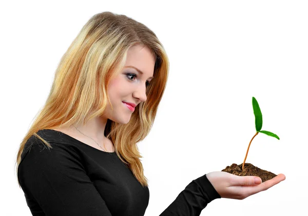 Girl holding in hand growing plant — Stock Photo, Image