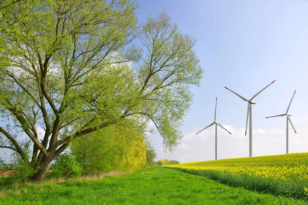 Lente landschap — Stockfoto