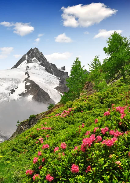 Grossglockner. — Foto de Stock