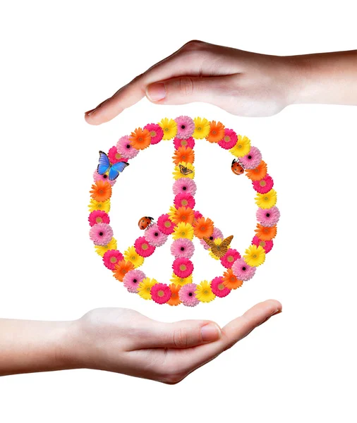 Peace flower symbol — Stock Photo, Image