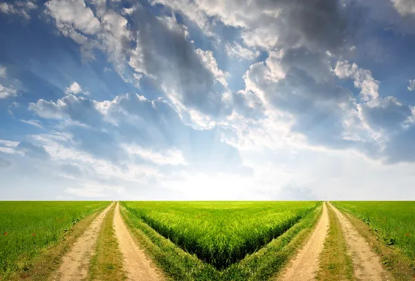 Veld manier — Stockfoto