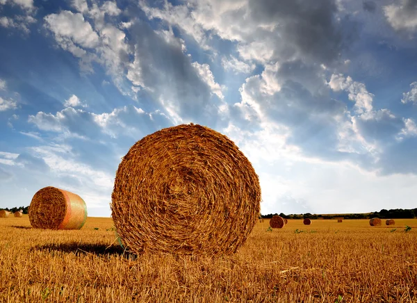 Straw bales — Stock Photo, Image