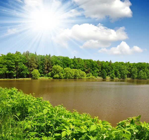 Paisagem Primavera — Fotografia de Stock