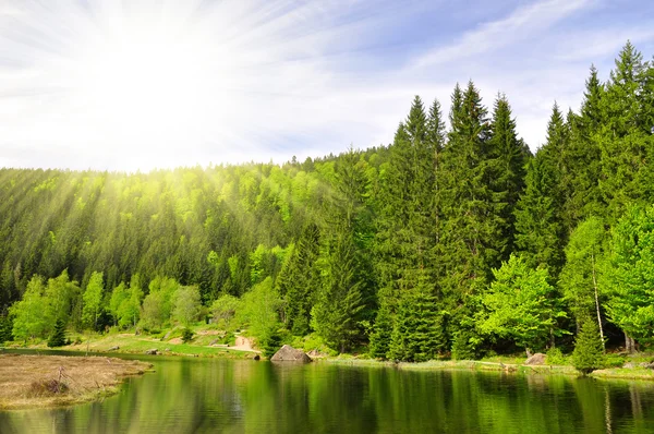 Lago Arber pequeno — Fotografia de Stock