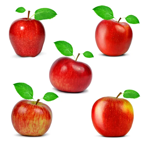 Red apples with green leaf — Stock Photo, Image