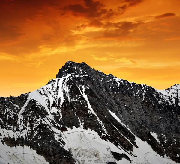 Taschhorn — Stok fotoğraf