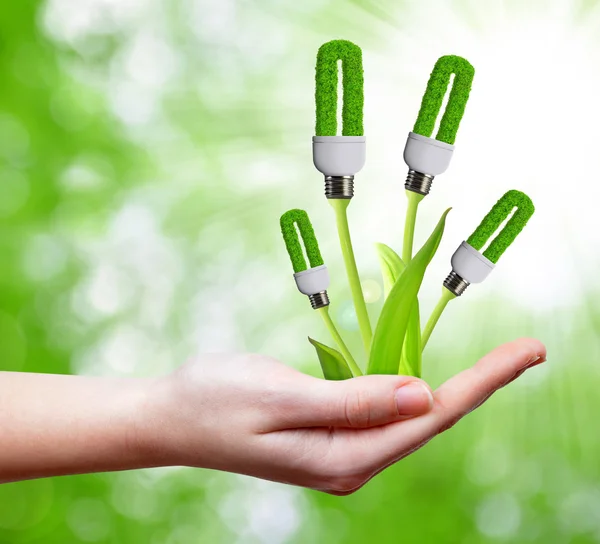 Eco energy bulb — Stock Photo, Image