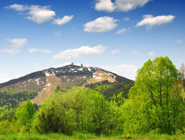 Bavarian Forest — Stock Photo, Image