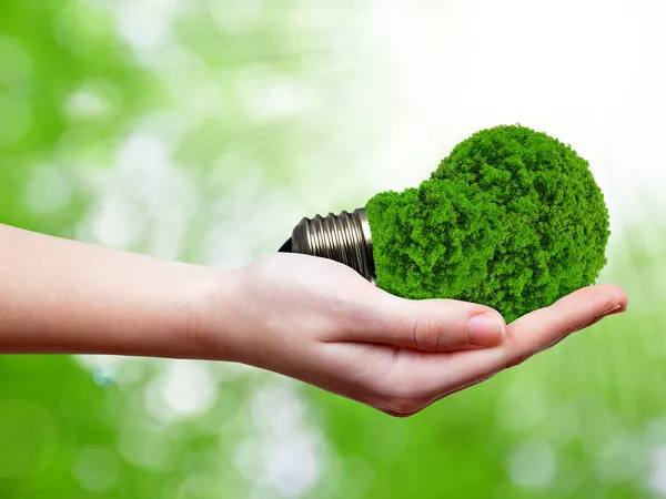 Экологическая лампочка в руке на зеленом фоне — стоковое фото