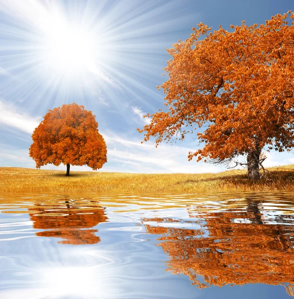 Autumn landscape — Stock Photo, Image