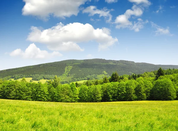 Paisagem de primavera no parque nacional Sumava - República Checa — Fotografia de Stock