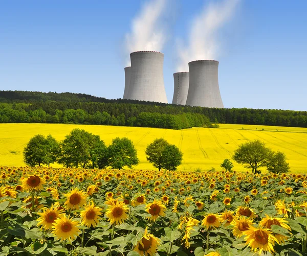 Nuclear power plant en zonnebloem veld — Stockfoto