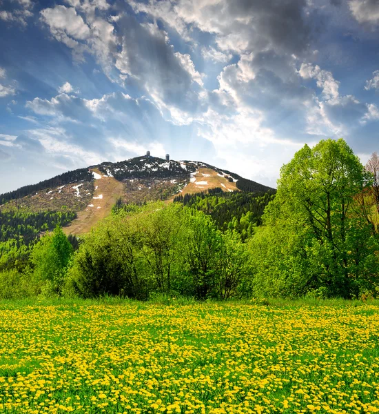 Beierse Woud Nationaalpark - Duitsland — Stockfoto