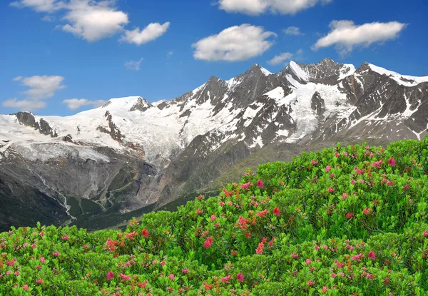 O grupo Mischabel - Alpes suíços — Fotografia de Stock